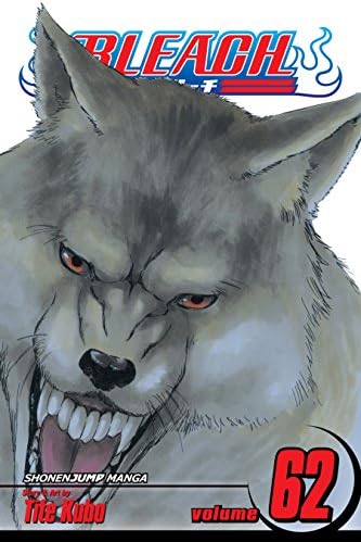 Amazon.com: Bleach, Vol. 58: The Fire eBook : Kubo, Tite: Kindle Store